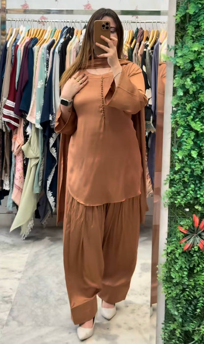 Majestic Muse: New Designer Farshi Suit Set